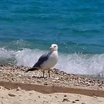 Vmg Thassos Limenaria (Thasos)