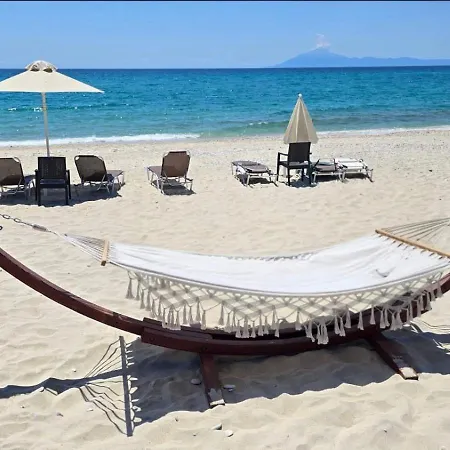 Vmg Thassos *